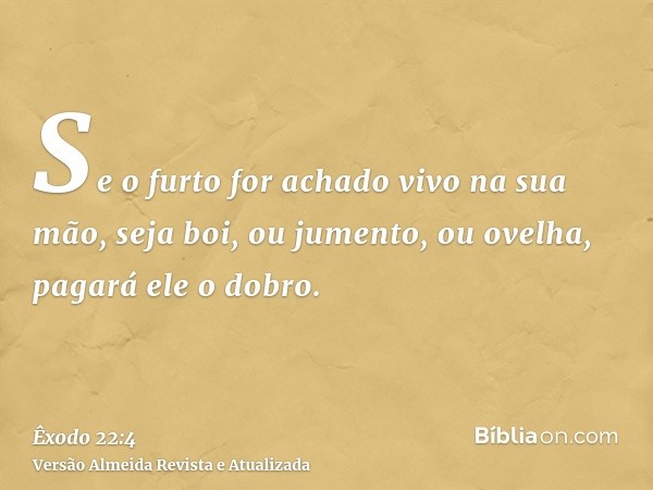 Se o furto for achado vivo na sua mão, seja boi, ou jumento, ou ovelha, pagará ele o dobro.