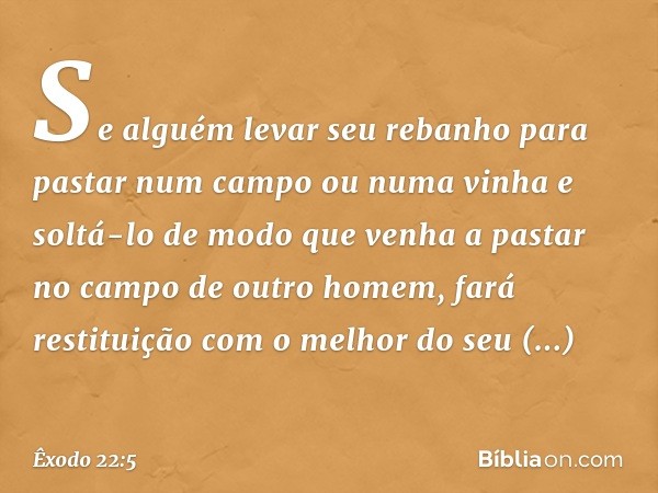 "Se alguém levar seu rebanho para pas­tar num campo ou numa vinha e soltá-lo de modo que venha a pastar no campo de outro homem, fará restituição com o melhor d