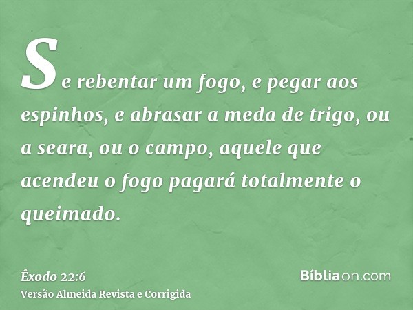 Se rebentar um fogo, e pegar aos espinhos, e abrasar a meda de trigo, ou a seara, ou o campo, aquele que acendeu o fogo pagará totalmente o queimado.