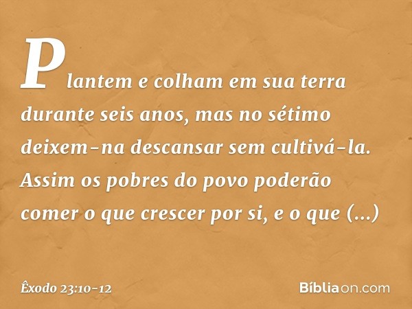 "Plantem e colham em sua terra duran­te seis anos, mas no sétimo deixem-na descan­sar sem cultivá-la. Assim os pobres do povo poderão comer o que crescer por si