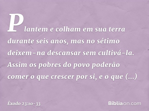 "Plantem e colham em sua terra duran­te seis anos, mas no sétimo deixem-na descan­sar sem cultivá-la. Assim os pobres do povo poderão comer o que crescer por si