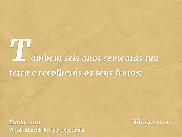 Também seis anos semearás tua terra e recolherás os seus frutos;