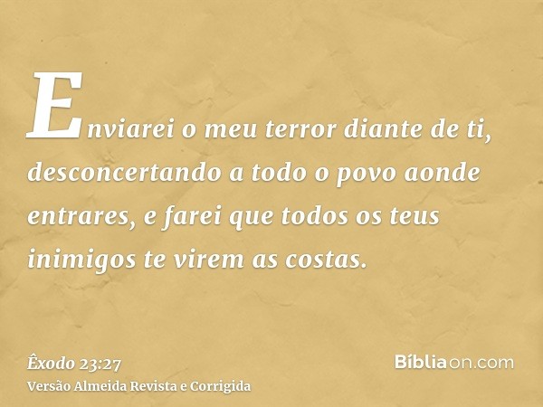 Enviarei o meu terror diante de ti, desconcertando a todo o povo aonde entrares, e farei que todos os teus inimigos te virem as costas.