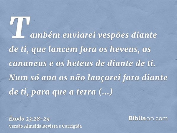 Também enviarei vespões diante de ti, que lancem fora os heveus, os cananeus e os heteus de diante de ti.Num só ano os não lançarei fora diante de ti, para que 