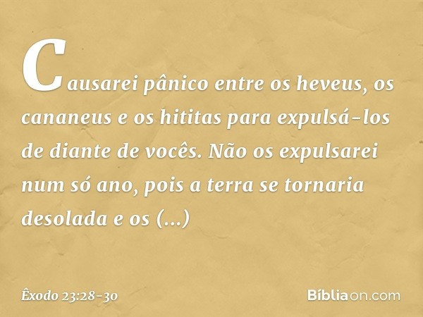 Causarei pânico entre os heveus, os cananeus e os hititas para expulsá-los de diante de vocês. Não os expulsarei num só ano, pois a terra se tornaria desolada e