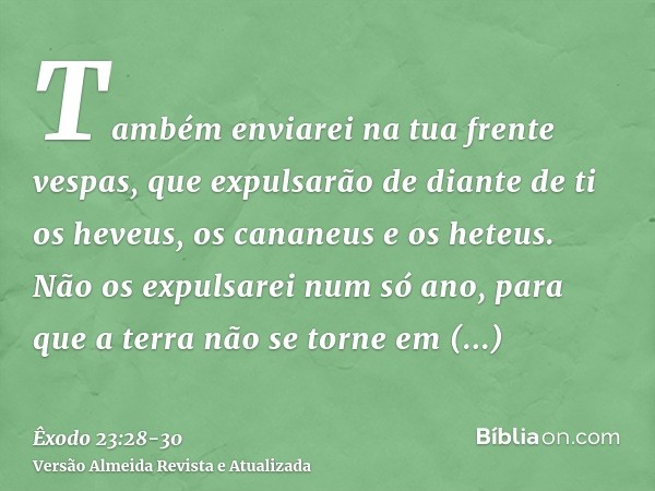 Também enviarei na tua frente vespas, que expulsarão de diante de ti os heveus, os cananeus e os heteus.Não os expulsarei num só ano, para que a terra não se to
