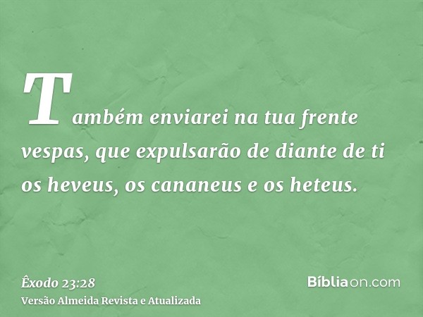 Também enviarei na tua frente vespas, que expulsarão de diante de ti os heveus, os cananeus e os heteus.