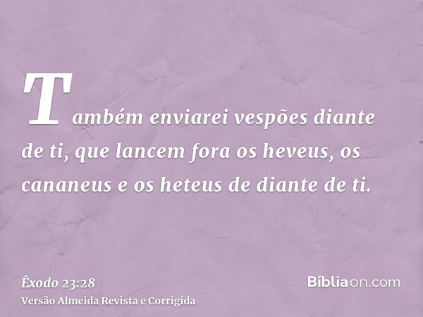 Também enviarei vespões diante de ti, que lancem fora os heveus, os cananeus e os heteus de diante de ti.