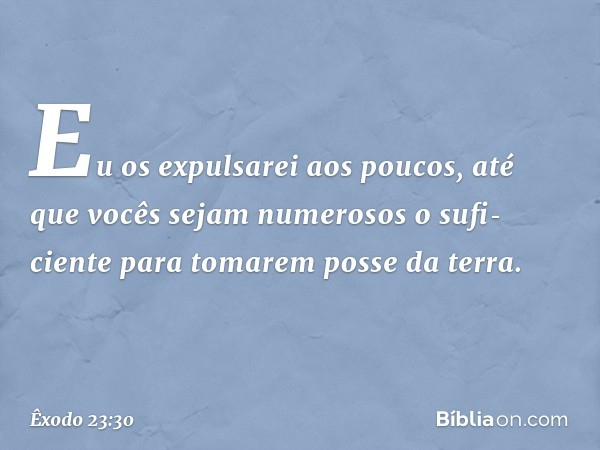 Eu os expulsarei aos poucos, até que vocês sejam numerosos o sufi­ciente para tomarem posse da terra. -- Êxodo 23:30