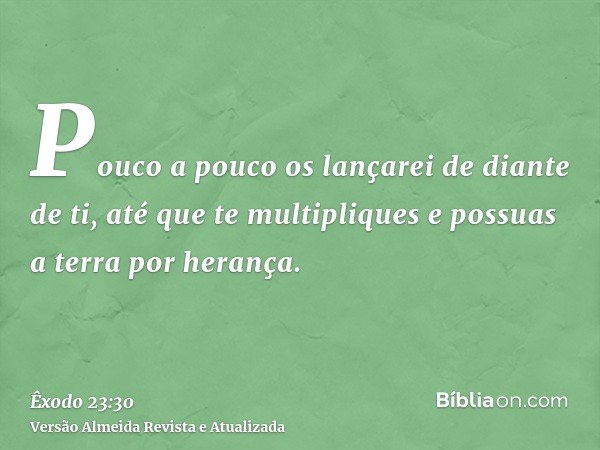 Pouco a pouco os lançarei de diante de ti, até que te multipliques e possuas a terra por herança.