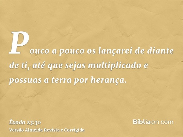 Pouco a pouco os lançarei de diante de ti, até que sejas multiplicado e possuas a terra por herança.