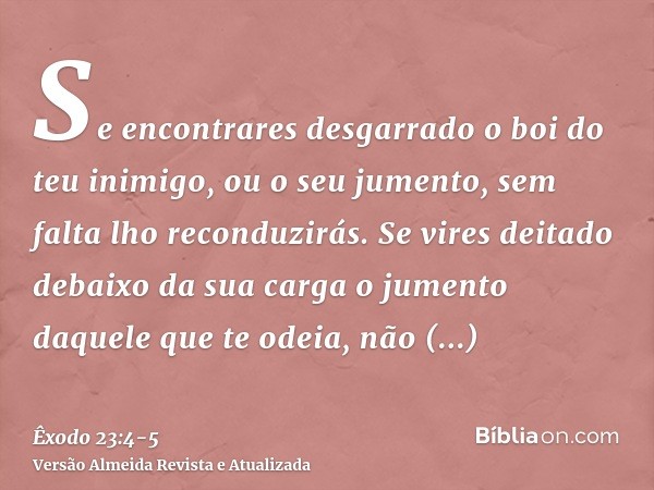 Se encontrares desgarrado o boi do teu inimigo, ou o seu jumento, sem falta lho reconduzirás.Se vires deitado debaixo da sua carga o jumento daquele que te odei