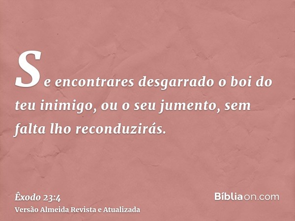 Se encontrares desgarrado o boi do teu inimigo, ou o seu jumento, sem falta lho reconduzirás.