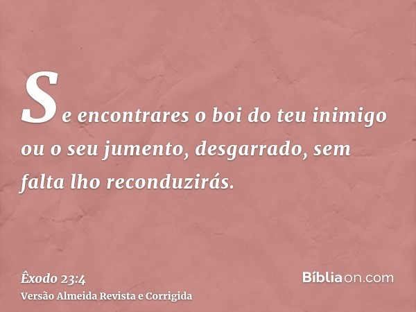 Se encontrares o boi do teu inimigo ou o seu jumento, desgarrado, sem falta lho reconduzirás.