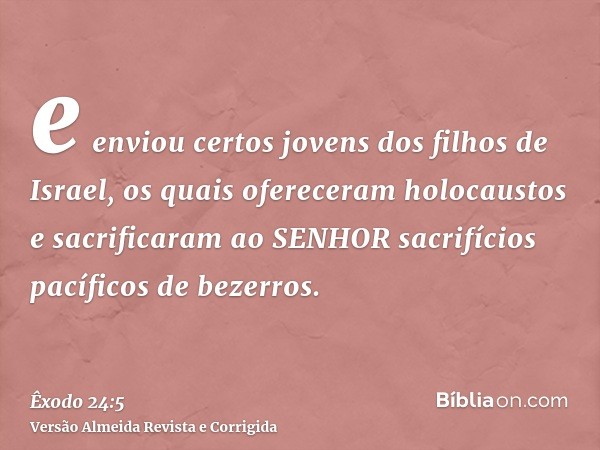 e enviou certos jovens dos filhos de Israel, os quais ofereceram holocaustos e sacrificaram ao SENHOR sacrifícios pacíficos de bezerros.