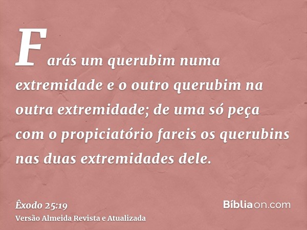 Farás um querubim numa extremidade e o outro querubim na outra extremidade; de uma só peça com o propiciatório fareis os querubins nas duas extremidades dele.