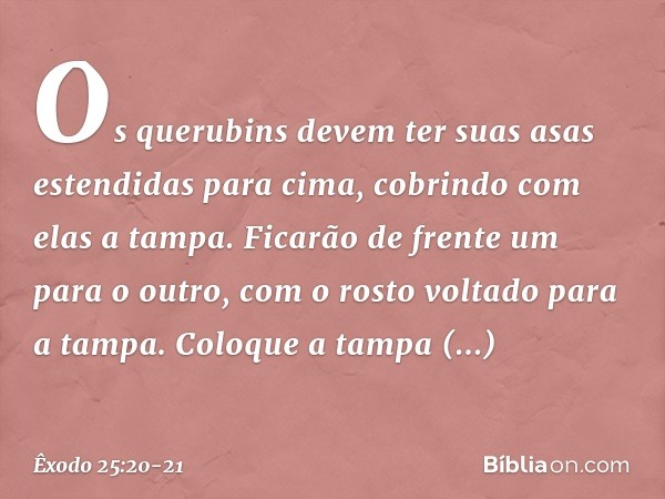 Os querubins devem ter suas asas estendidas para cima, cobrindo com elas a tampa. Ficarão de frente um para o outro, com o rosto voltado para a tampa. Coloque a