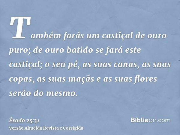 Também farás um castiçal de ouro puro; de ouro batido se fará este castiçal; o seu pé, as suas canas, as suas copas, as suas maçãs e as suas flores serão do mes
