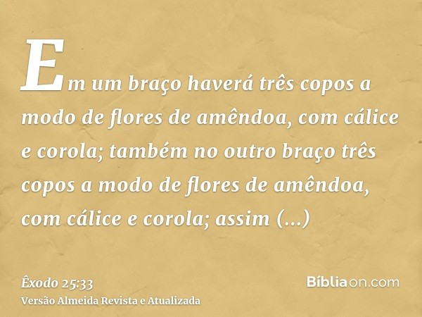 Em um braço haverá três copos a modo de flores de amêndoa, com cálice e corola; também no outro braço três copos a modo de flores de amêndoa, com cálice e corol