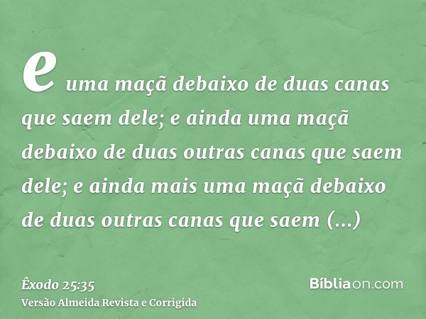 e uma maçã debaixo de duas canas que saem dele; e ainda uma maçã debaixo de duas outras canas que saem dele; e ainda mais uma maçã debaixo de duas outras canas 