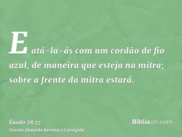 E atá-la-ás com um cordão de fio azul, de maneira que esteja na mitra; sobre a frente da mitra estará.