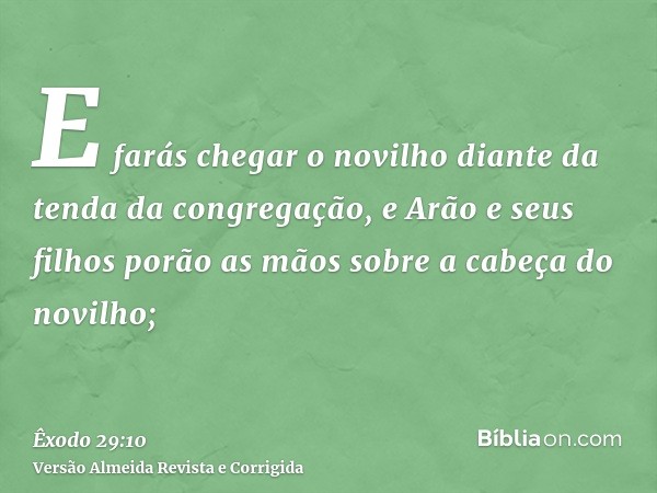 E farás chegar o novilho diante da tenda da congregação, e Arão e seus filhos porão as mãos sobre a cabeça do novilho;