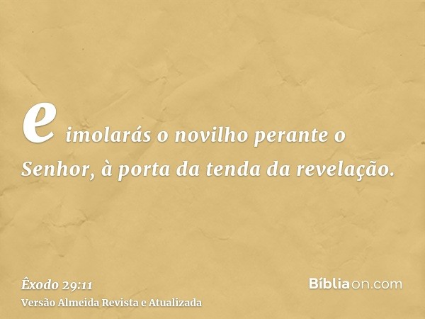 e imolarás o novilho perante o Senhor, à porta da tenda da revelação.