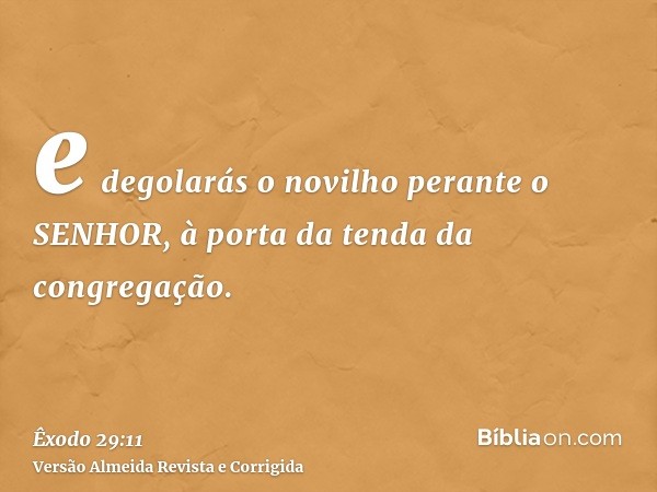 e degolarás o novilho perante o SENHOR, à porta da tenda da congregação.