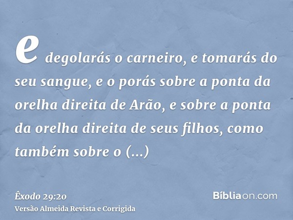 e degolarás o carneiro, e tomarás do seu sangue, e o porás sobre a ponta da orelha direita de Arão, e sobre a ponta da orelha direita de seus filhos, como també