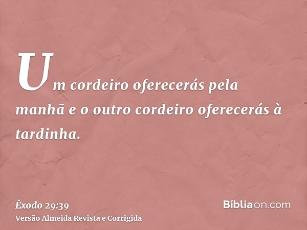 Um cordeiro oferecerás pela manhã e o outro cordeiro oferecerás à tardinha.