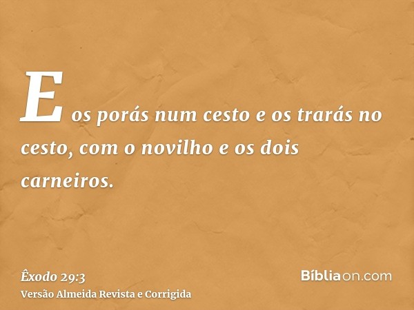 E os porás num cesto e os trarás no cesto, com o novilho e os dois carneiros.