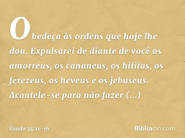 Obedeça às ordens que hoje lhe dou. Expulsarei de diante de você os amorreus, os cananeus, os hititas, os ferezeus, os heveus e os jebuseus. Acautele-se para nã