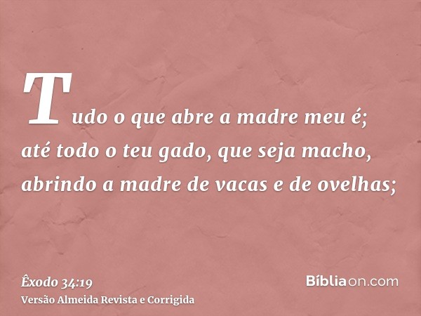 Tudo o que abre a madre meu é; até todo o teu gado, que seja macho, abrindo a madre de vacas e de ovelhas;