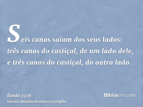 Seis canas saíam dos seus lados: três canas do castiçal, de um lado dele, e três canas do castiçal, do outro lado.