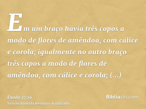 Em um braço havia três copos a modo de flores de amêndoa, com cálice e corola; igualmente no outro braço três copos a modo de flores de amêndoa, com cálice e co