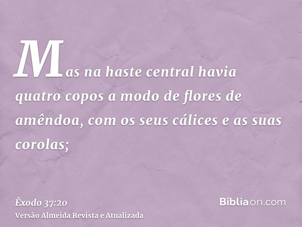 Mas na haste central havia quatro copos a modo de flores de amêndoa, com os seus cálices e as suas corolas;