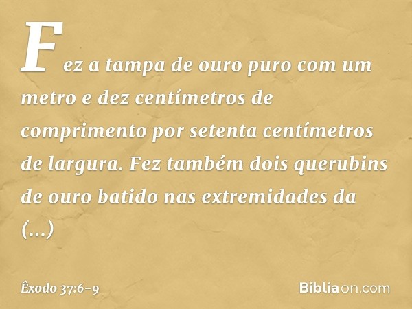 Fez a tampa de ouro puro com um me­tro e dez centímetros de comprimento por se­tenta centímetros de largura. Fez também dois querubins de ouro batido nas extrem