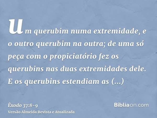 um querubim numa extremidade, e o outro querubim na outra; de uma só peça com o propiciatório fez os querubins nas duas extremidades dele.E os querubins estendi