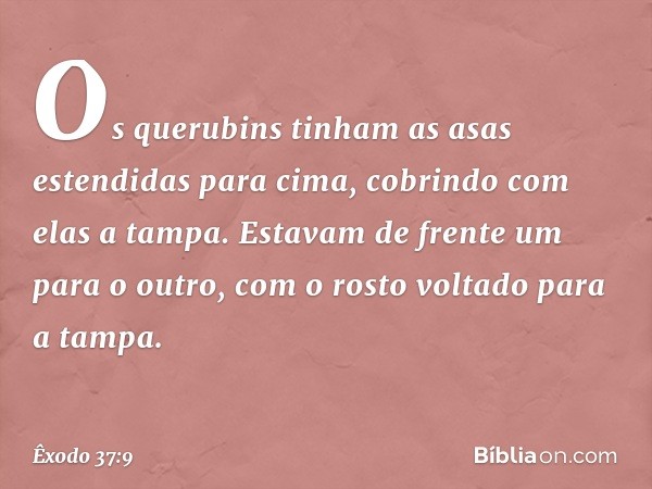 Os querubins tinham as asas estendidas para cima, cobrindo com elas a tampa. Estavam de frente um para o outro, com o rosto voltado para a tampa. -- Êxodo 37:9