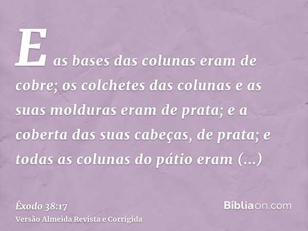 E as bases das colunas eram de cobre; os colchetes das colunas e as suas molduras eram de prata; e a coberta das suas cabeças, de prata; e todas as colunas do p