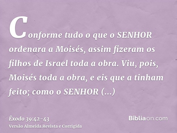 Conforme tudo o que o SENHOR ordenara a Moisés, assim fizeram os filhos de Israel toda a obra.Viu, pois, Moisés toda a obra, e eis que a tinham feito; como o SE