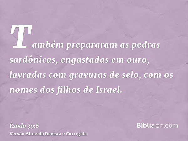 Também prepararam as pedras sardônicas, engastadas em ouro, lavradas com gravuras de selo, com os nomes dos filhos de Israel.