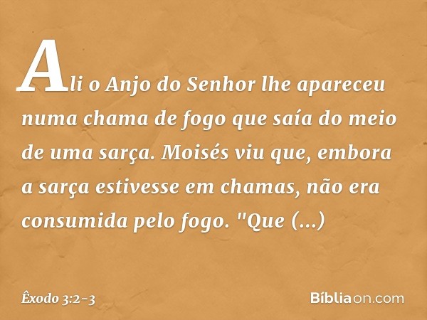 Ali o Anjo do Senhor lhe apareceu numa chama de fogo que saía do meio de uma sarça. Moisés viu que, embora a sarça estivesse em chamas, não era consumida pelo f