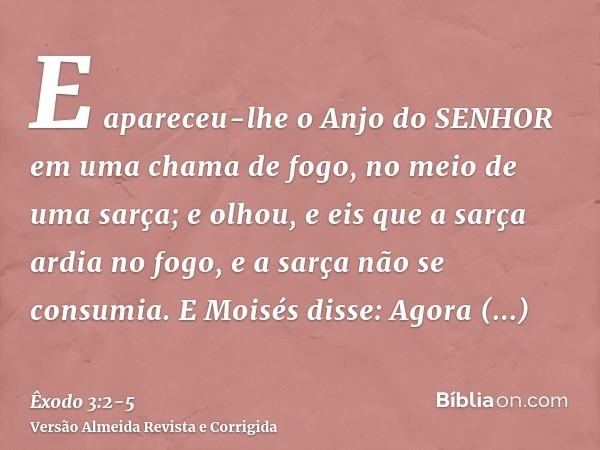 E apareceu-lhe o Anjo do SENHOR em uma chama de fogo, no meio de uma sarça; e olhou, e eis que a sarça ardia no fogo, e a sarça não se consumia.E Moisés disse: 