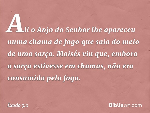 Ali o Anjo do Senhor lhe apareceu numa chama de fogo que saía do meio de uma sarça. Moisés viu que, embora a sarça estivesse em chamas, não era consumida pelo f