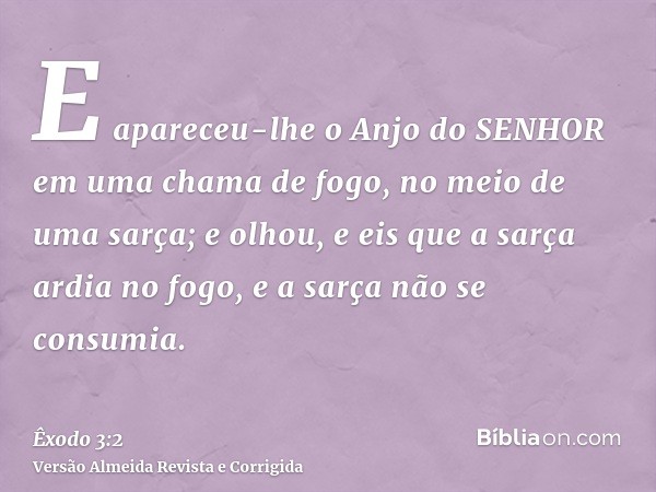 E apareceu-lhe o Anjo do SENHOR em uma chama de fogo, no meio de uma sarça; e olhou, e eis que a sarça ardia no fogo, e a sarça não se consumia.
