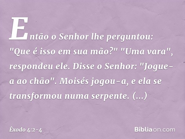 Então o Senhor lhe perguntou: "Que é isso em sua mão?"
"Uma vara", respondeu ele. Disse o Senhor: "Jogue-a ao chão".
Moisés jogou-a, e ela se transformou numa s