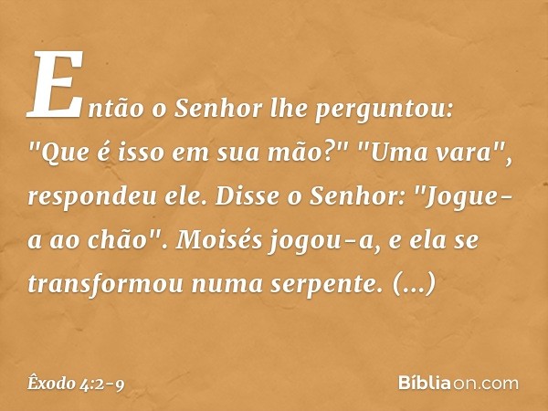 Então o Senhor lhe perguntou: "Que é isso em sua mão?"
"Uma vara", respondeu ele. Disse o Senhor: "Jogue-a ao chão".
Moisés jogou-a, e ela se transformou numa s