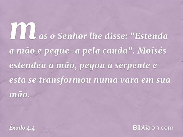 mas o Senhor lhe disse: "Estenda a mão e pegue-a pela cauda". Moisés estendeu a mão, pegou a ser­pente e esta se transformou numa vara em sua mão. -- Êxodo 4:4