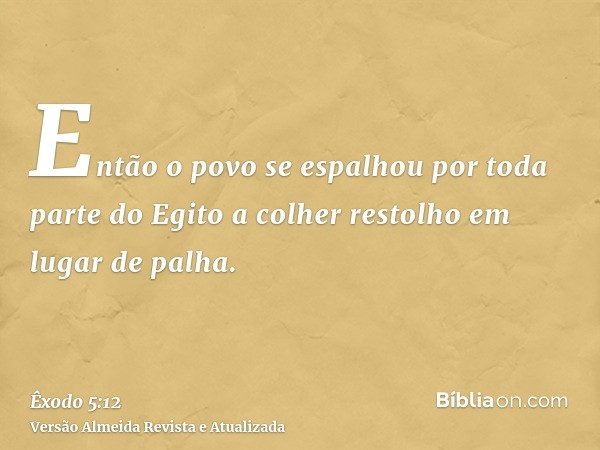 Então o povo se espalhou por toda parte do Egito a colher restolho em lugar de palha.